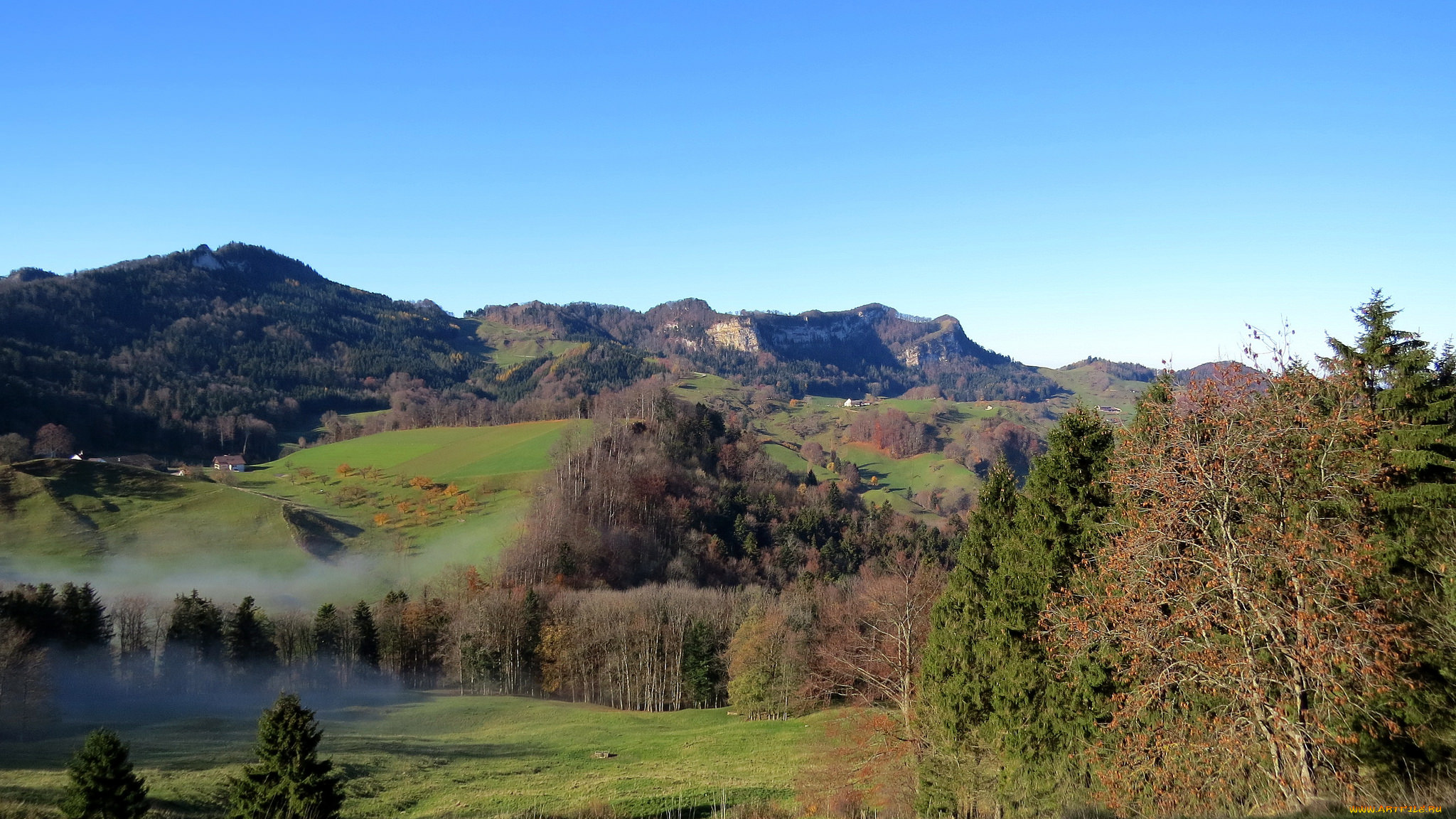 природа, пейзажи, лес, холмы