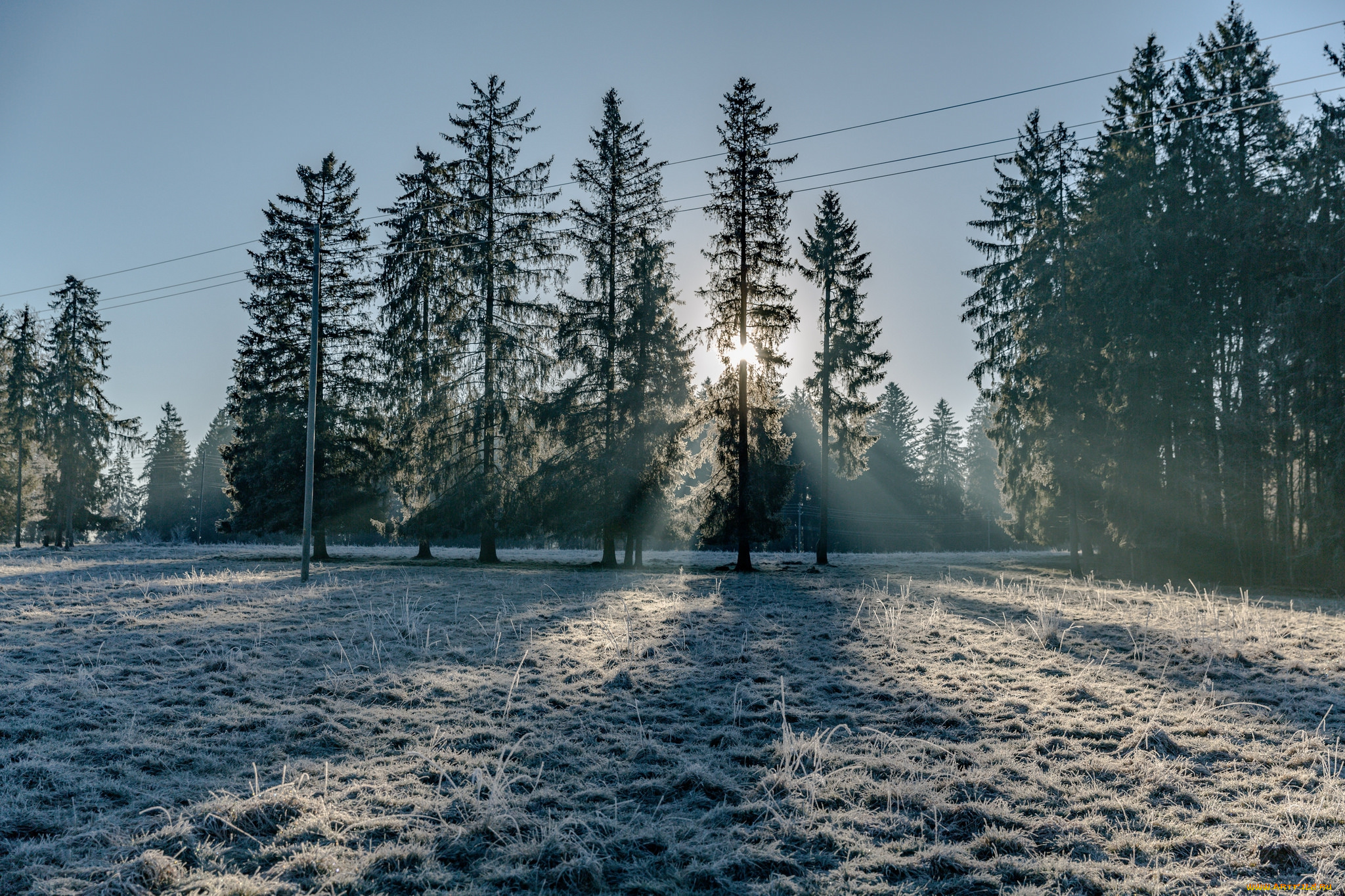 природа, зима, снег