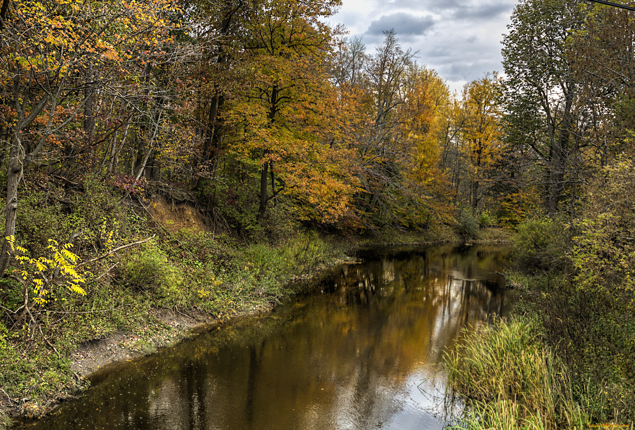 природа, реки, озера, река, лес