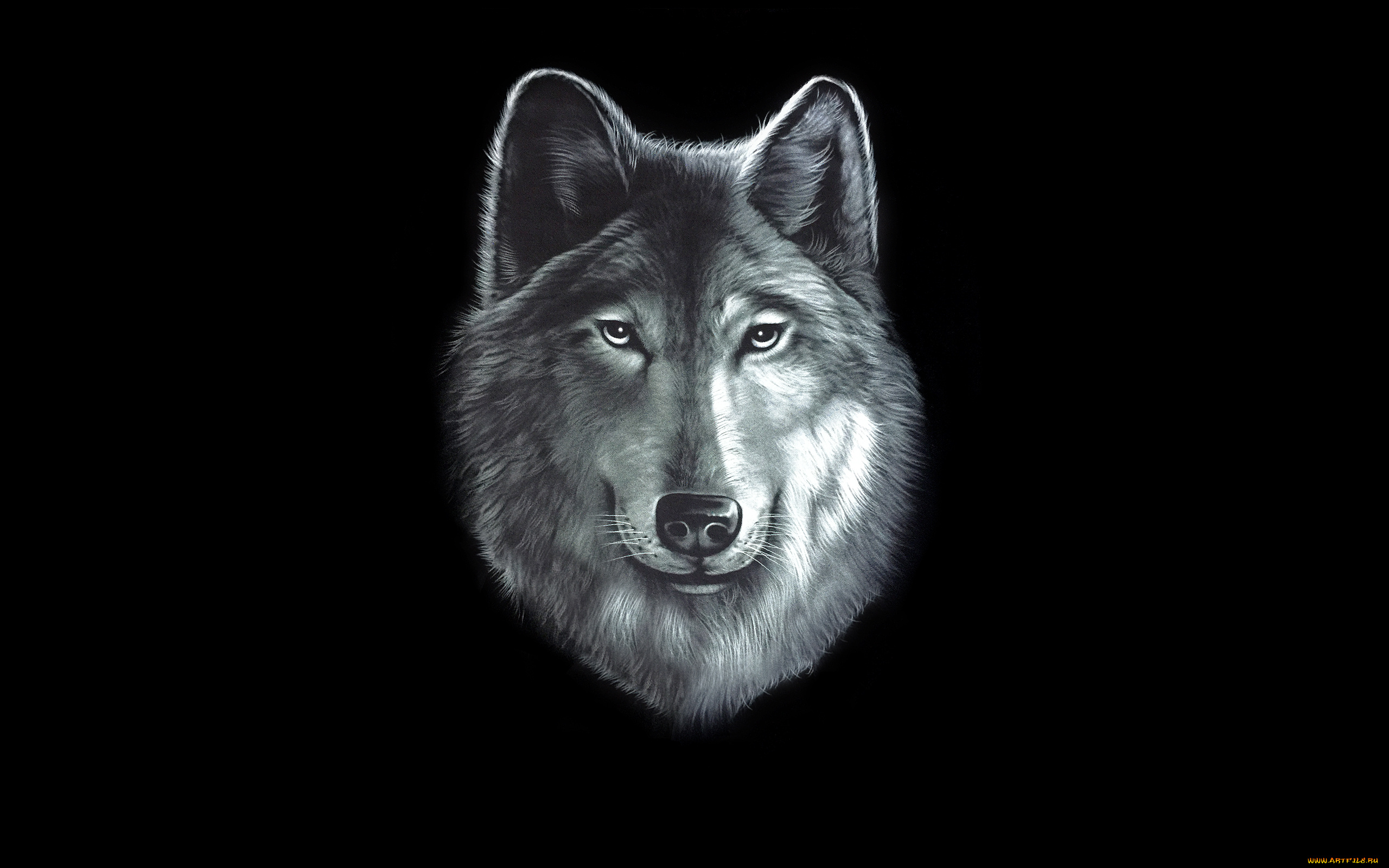 волк, рисованное, животные, , волки, голова, wolf, черный, фон