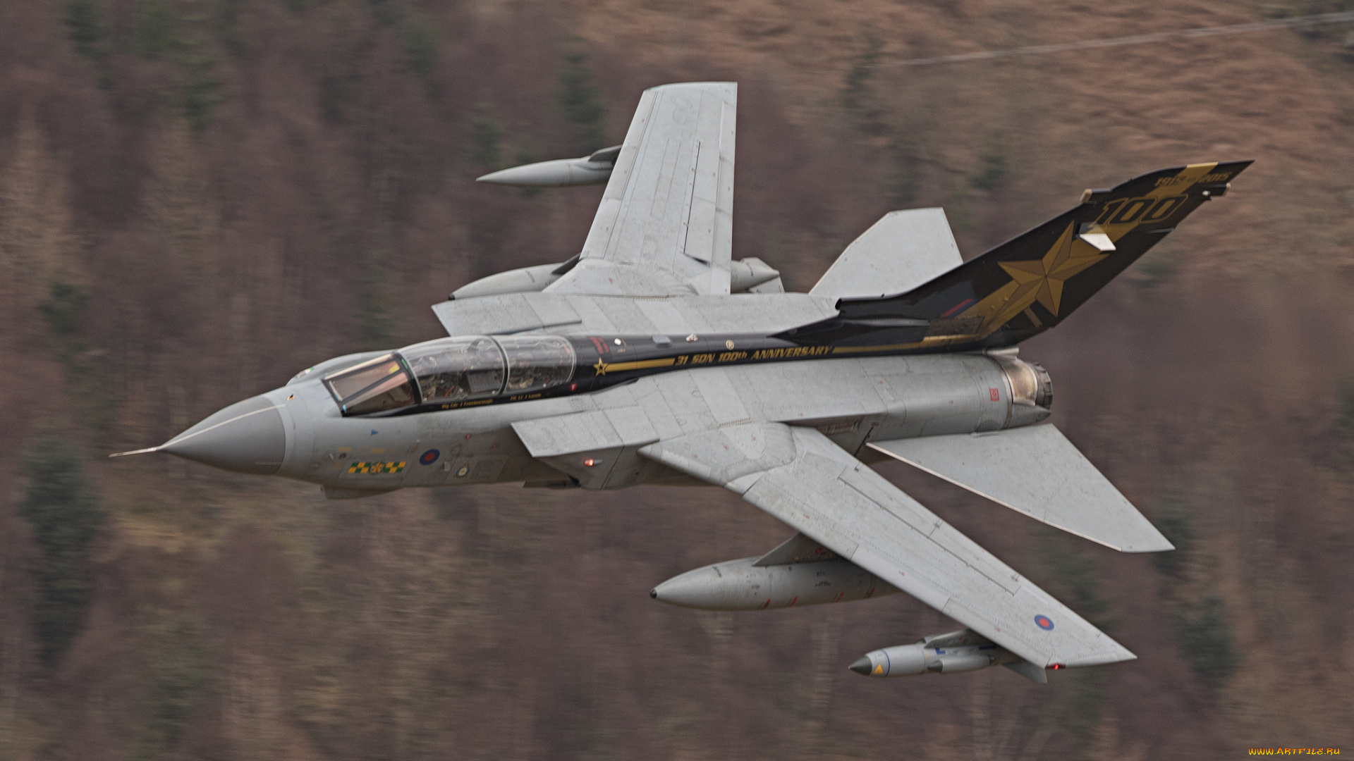 авиация, боевые, самолёты, ввс