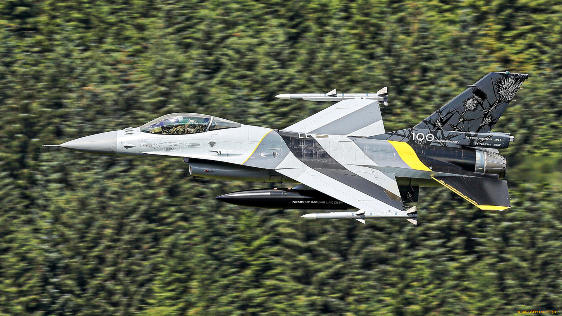 авиация, боевые, самолёты, ввс