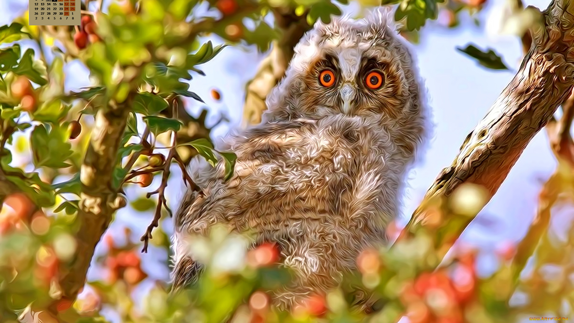 календари, компьютерный, дизайн, листья, взгляд, птица, 2018