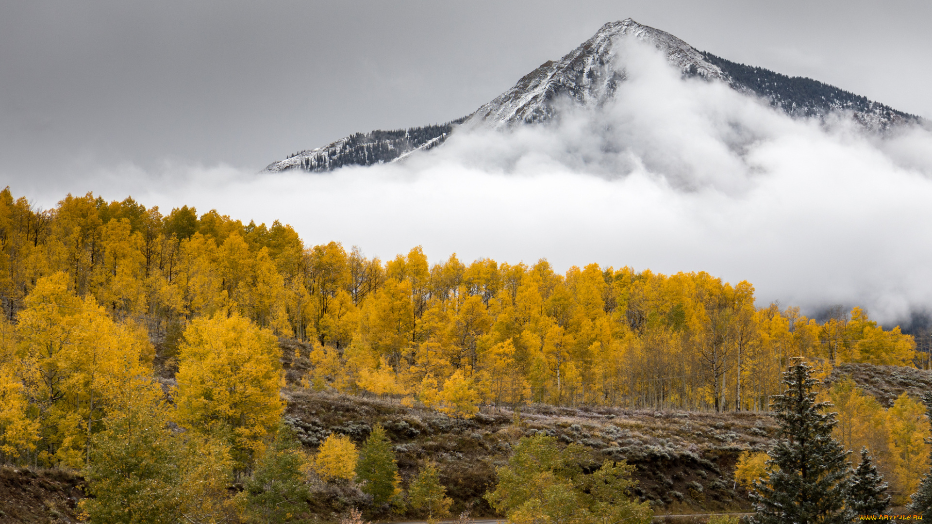 природа, горы, простор