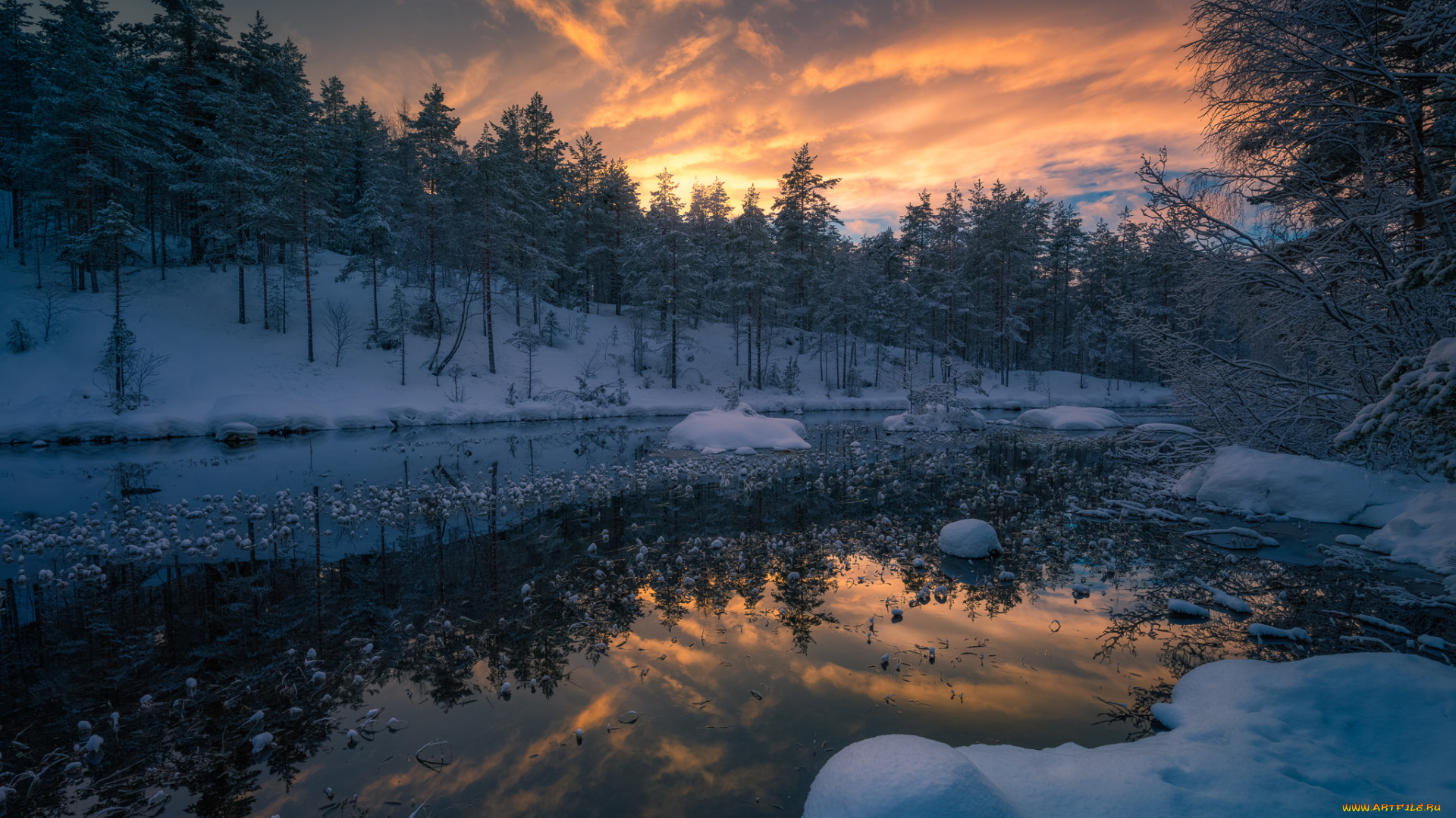 природа, реки, озера, простор