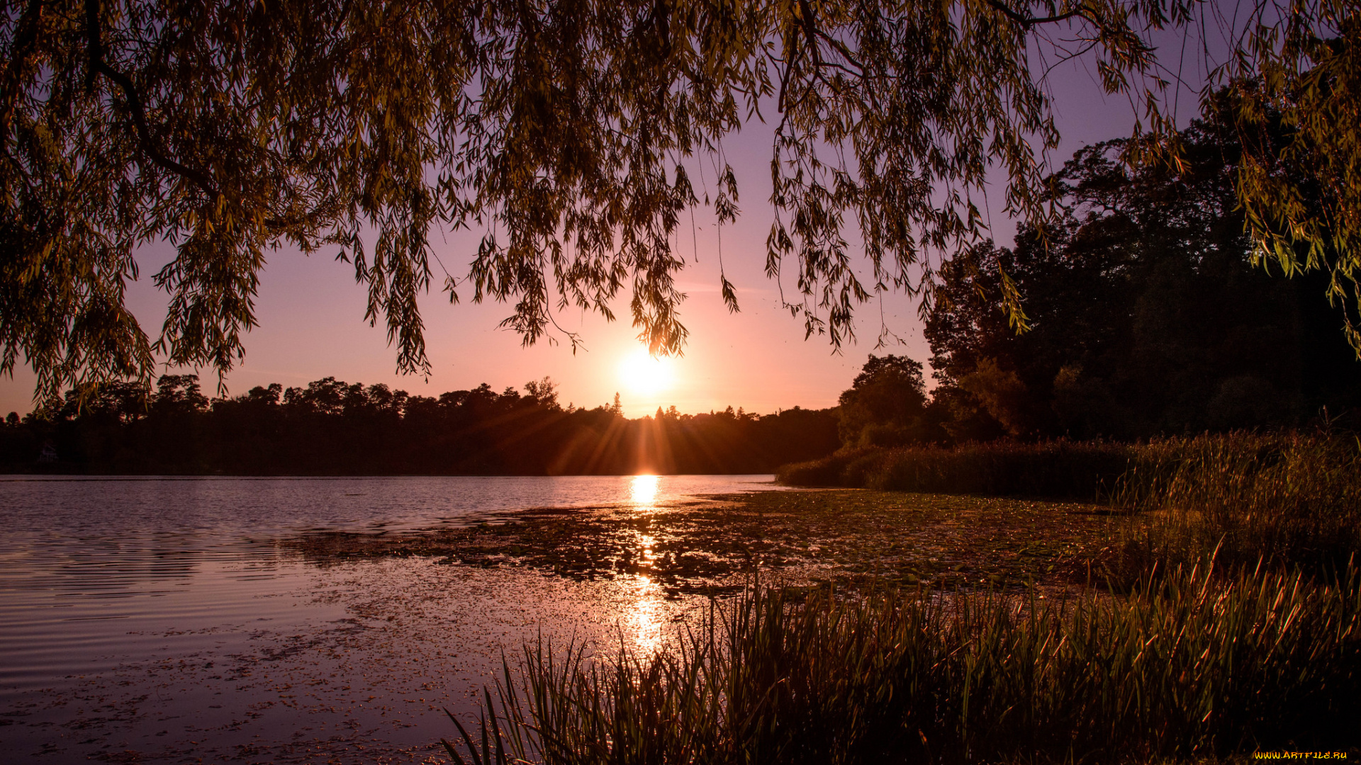 природа, восходы, закаты, простор