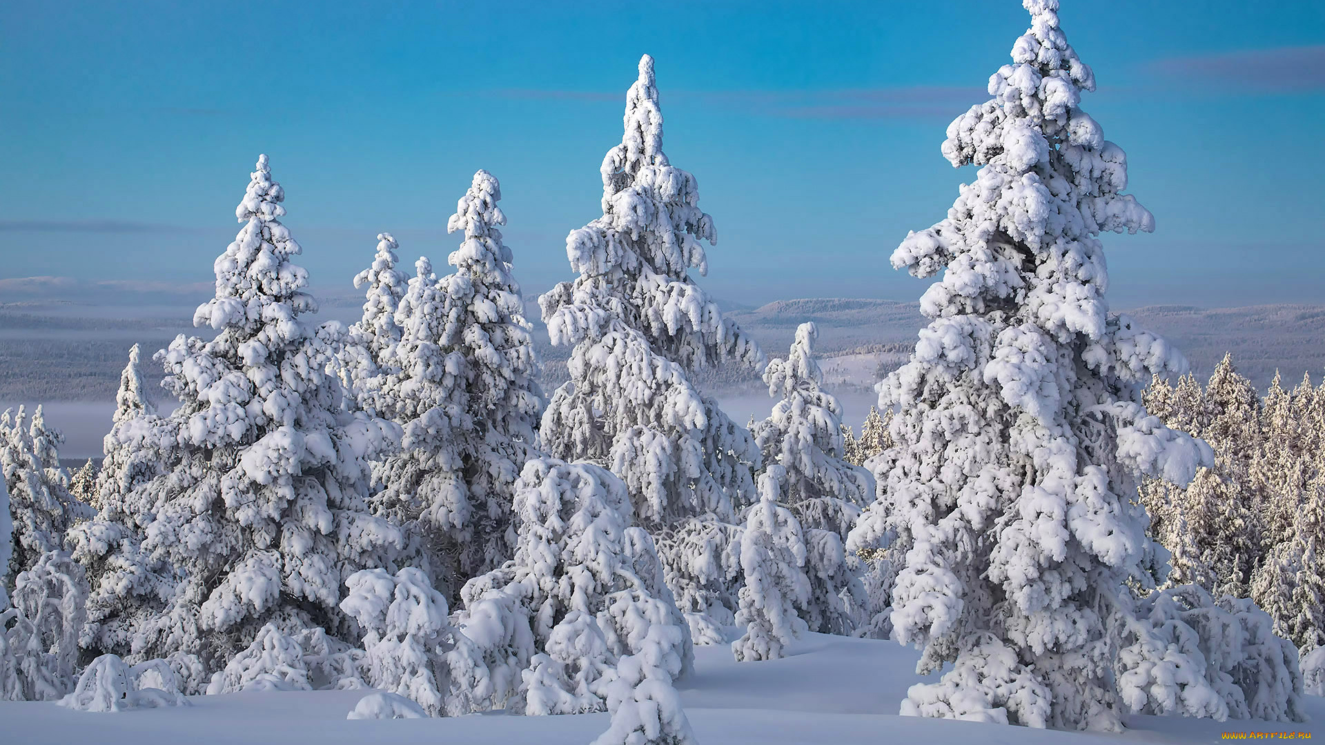 природа, зима, простор