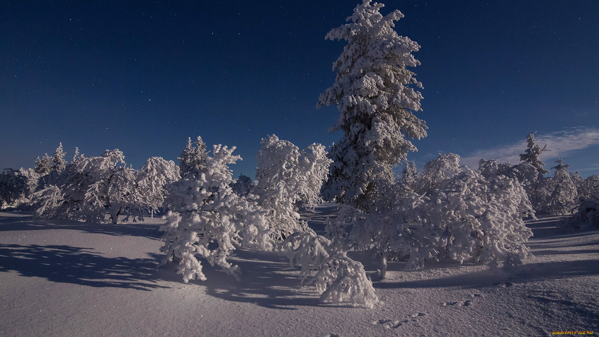 природа, зима, простор