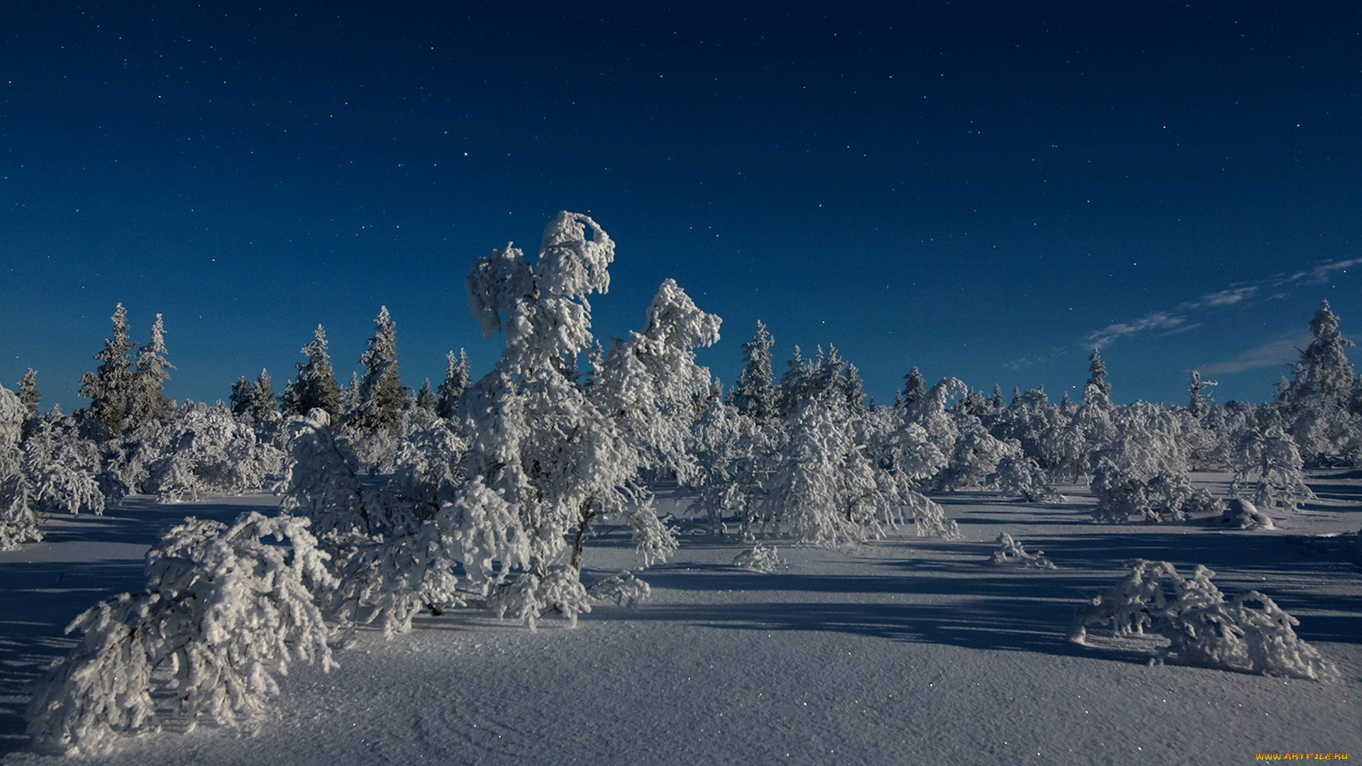 природа, зима, простор