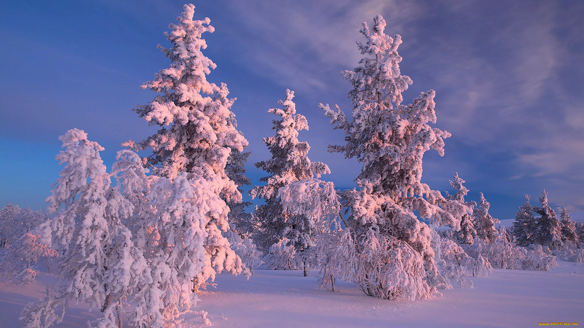 природа, зима, простор