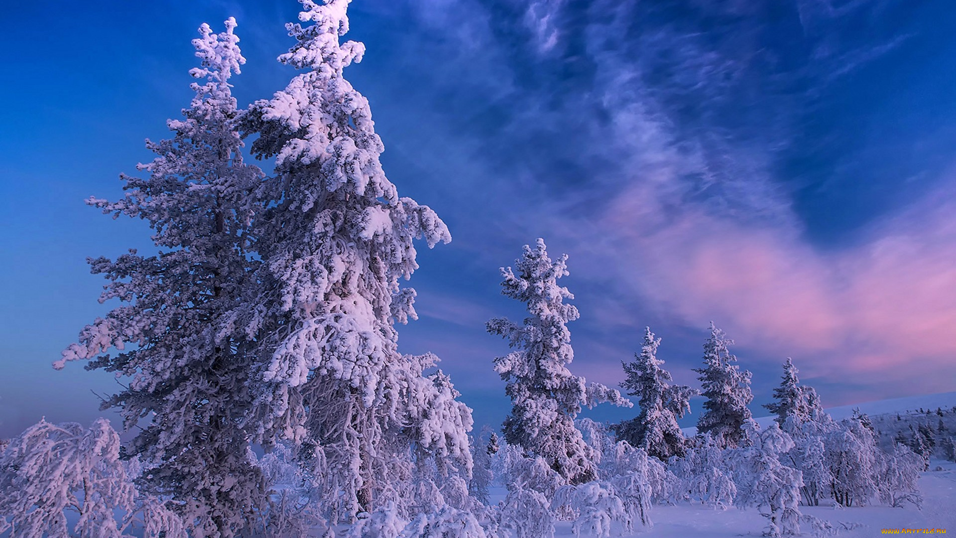 природа, зима, простор