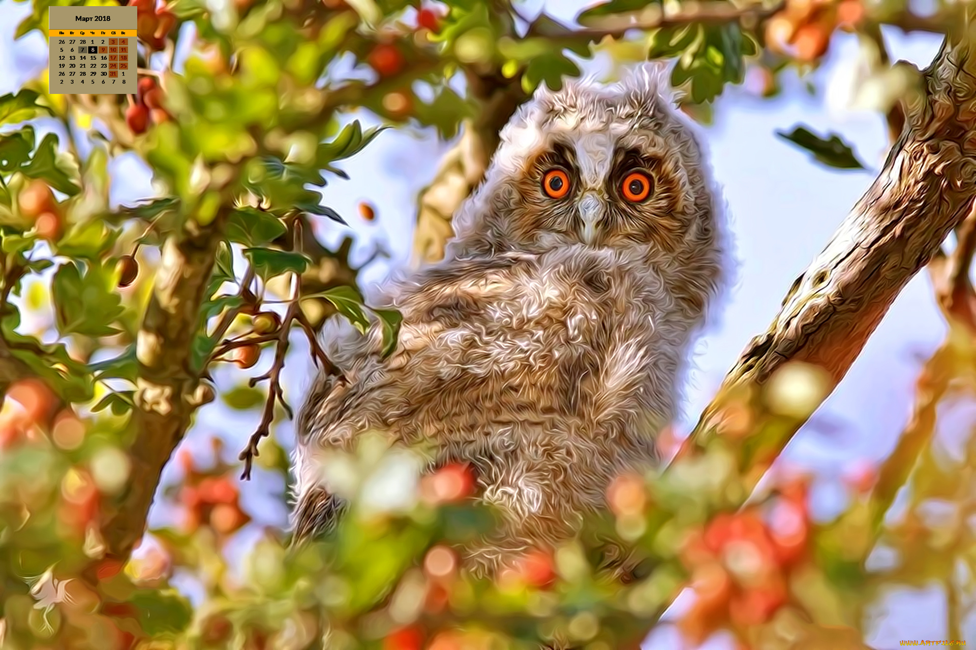 календари, компьютерный, дизайн, листья, взгляд, птица, 2018