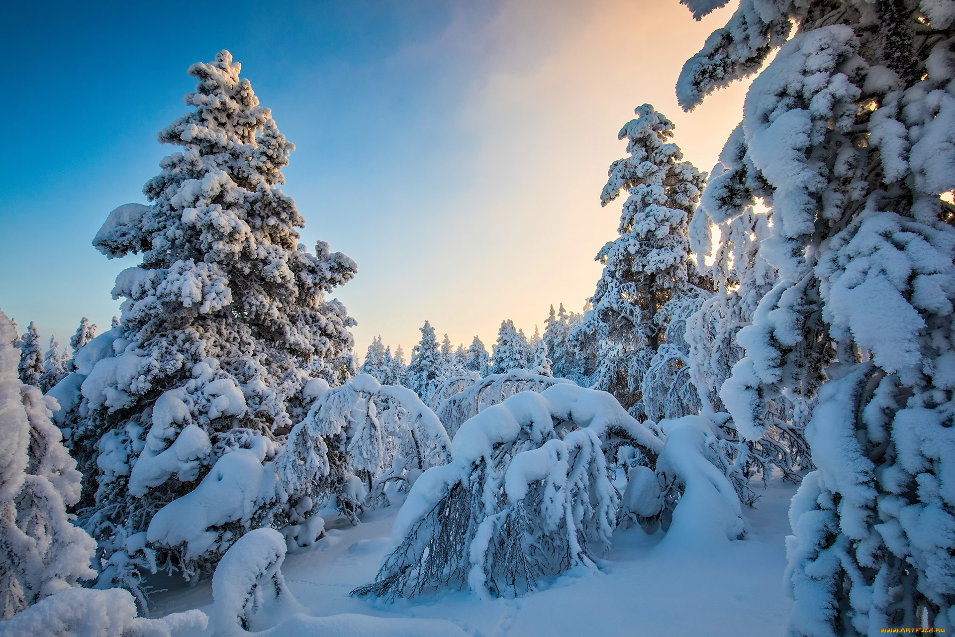 природа, зима, простор