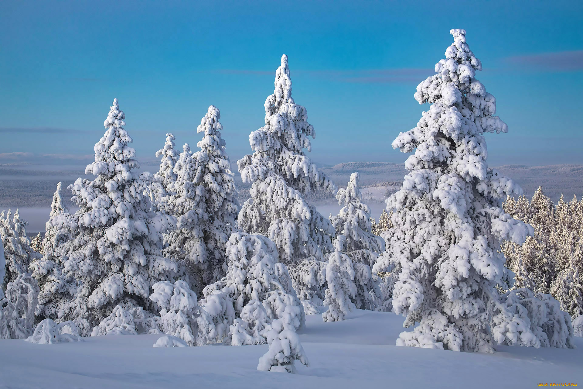 природа, зима, простор