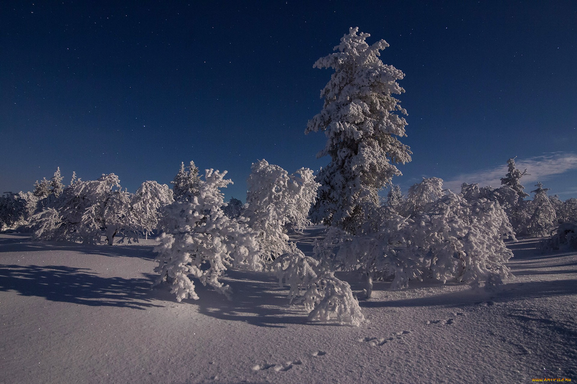 природа, зима, простор
