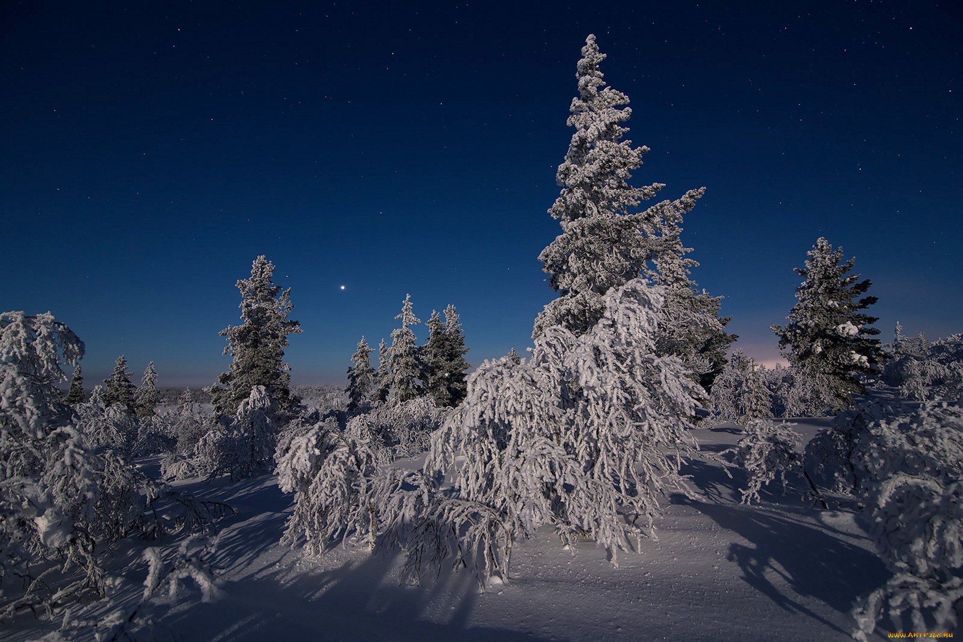 природа, зима, простор