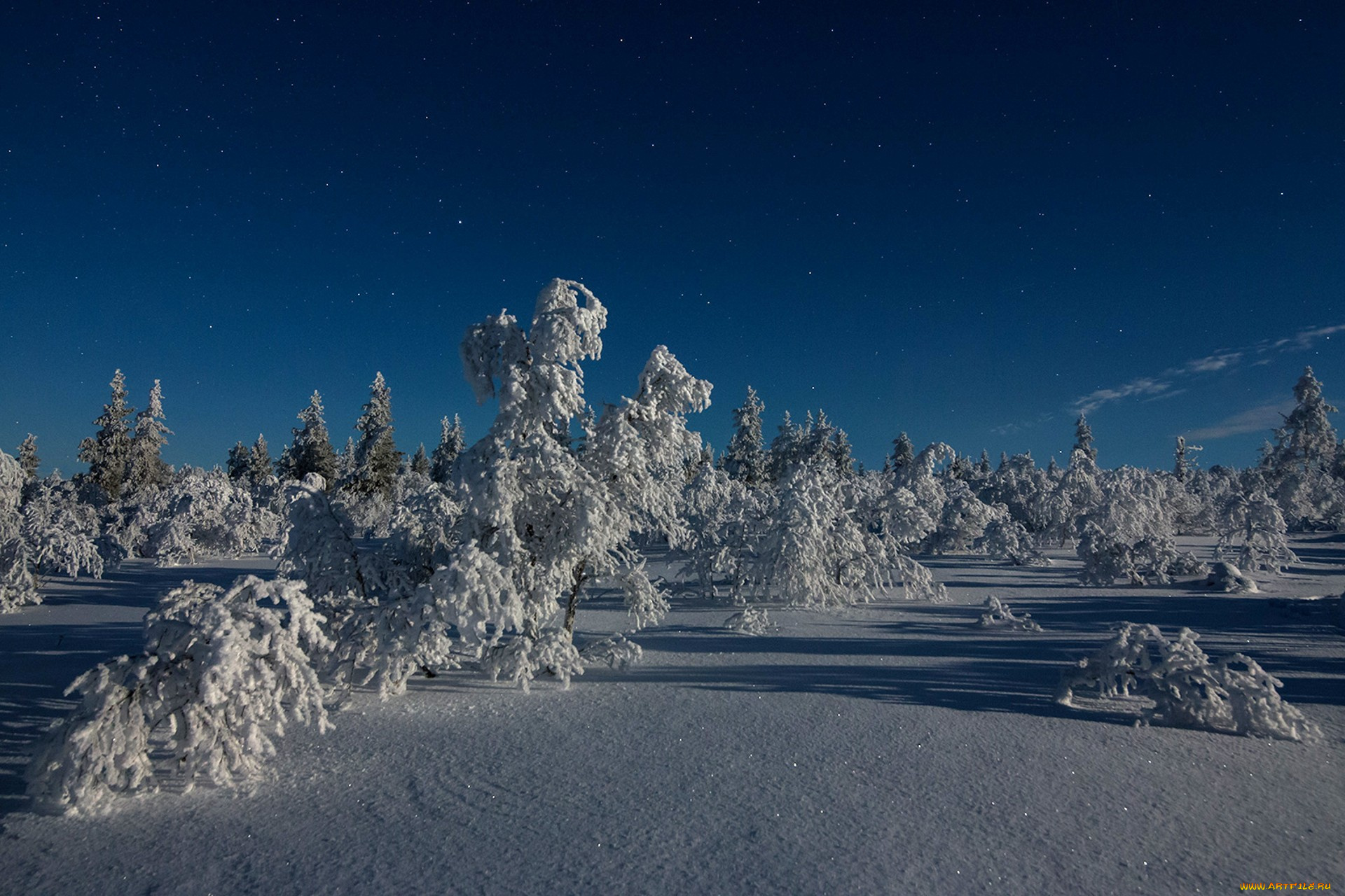 природа, зима, простор
