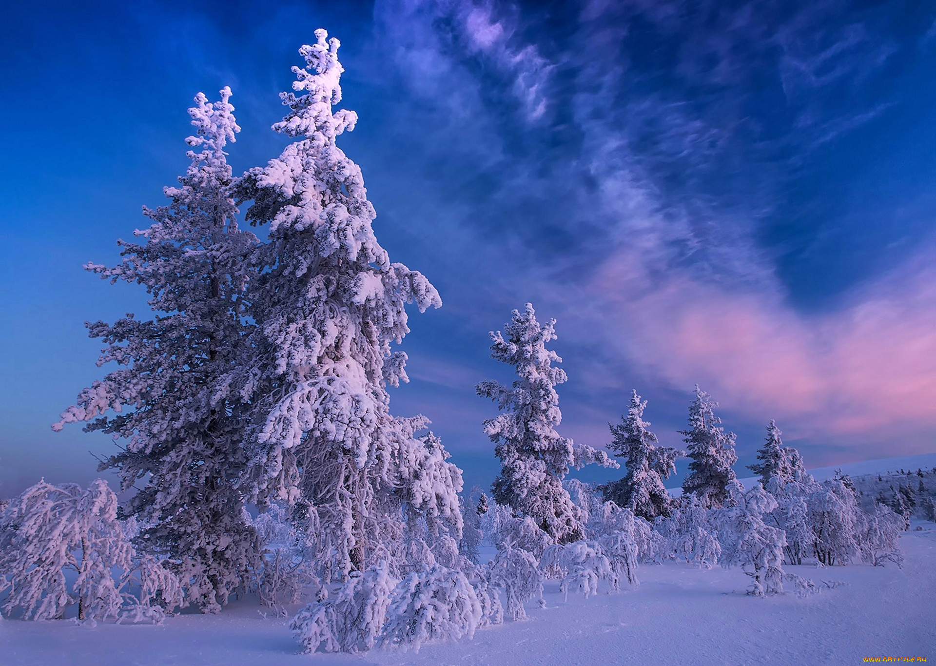 природа, зима, простор