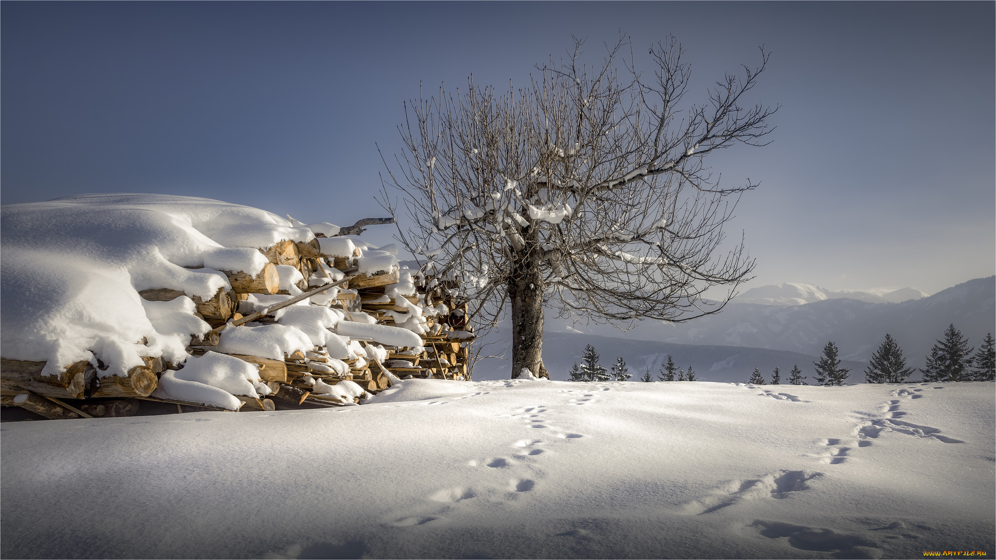 природа, зима, простор