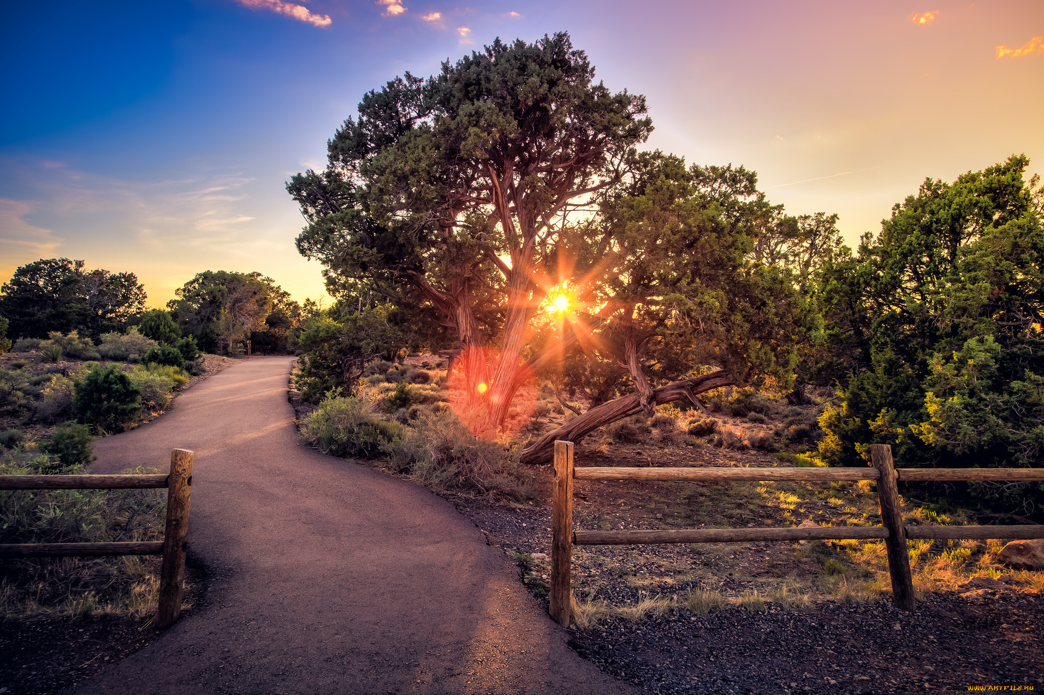 природа, дороги, простор