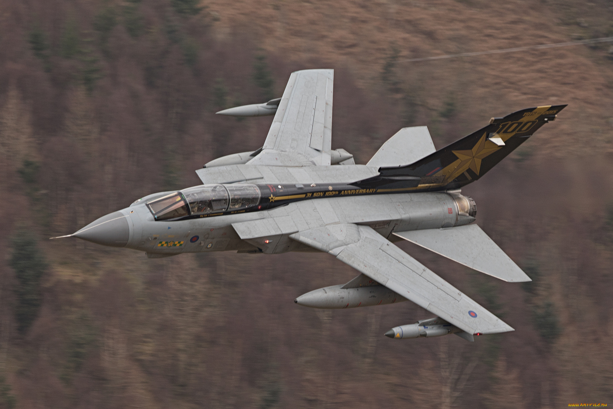 авиация, боевые, самолёты, ввс