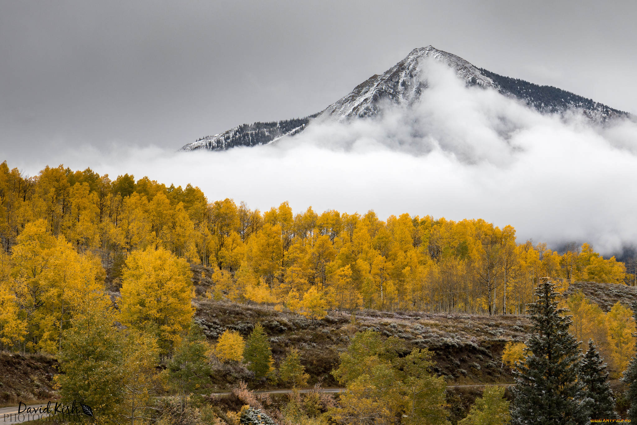 природа, горы, простор