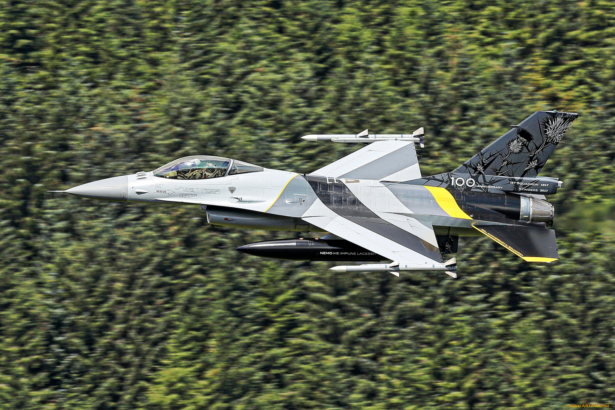 авиация, боевые, самолёты, ввс