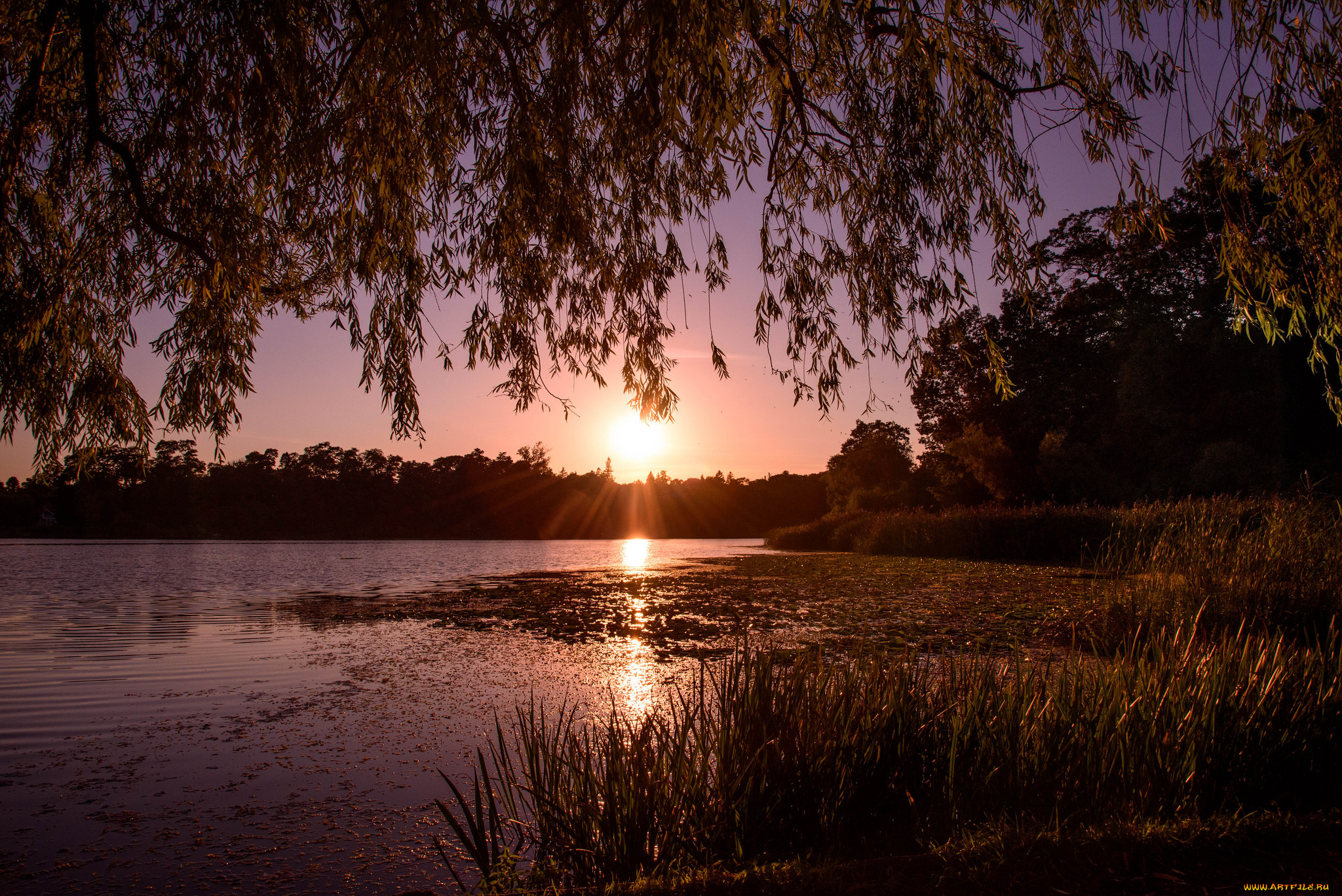 природа, восходы, закаты, простор