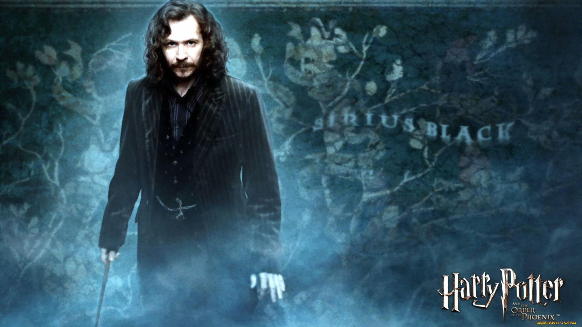 кино, фильмы, harry, potter, and, the, order, of, the, phoenix, гобелен, сириус, блэк