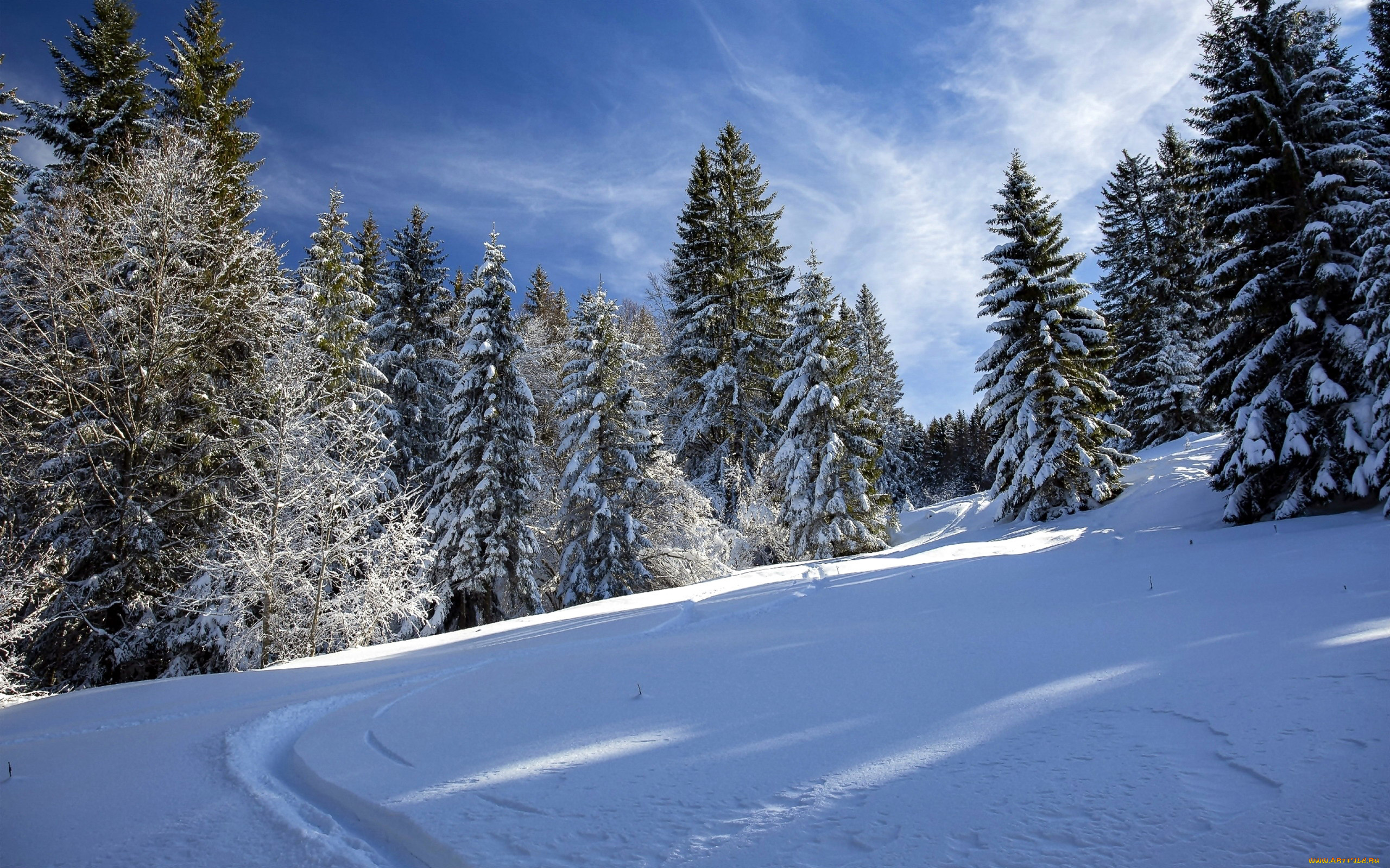 природа, зима, снег, сугробы