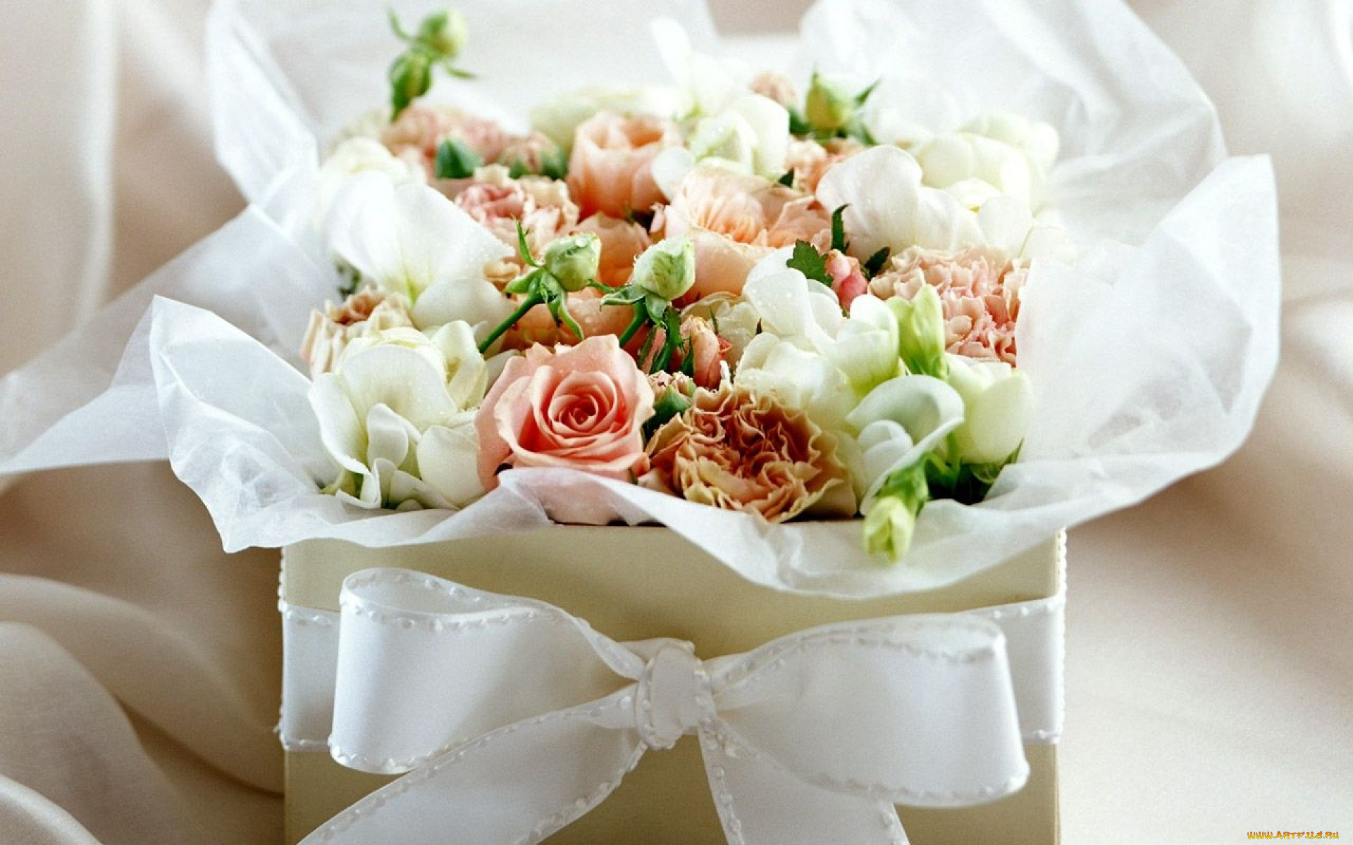 цветы, букеты, , композиции, коробка, букет, бант