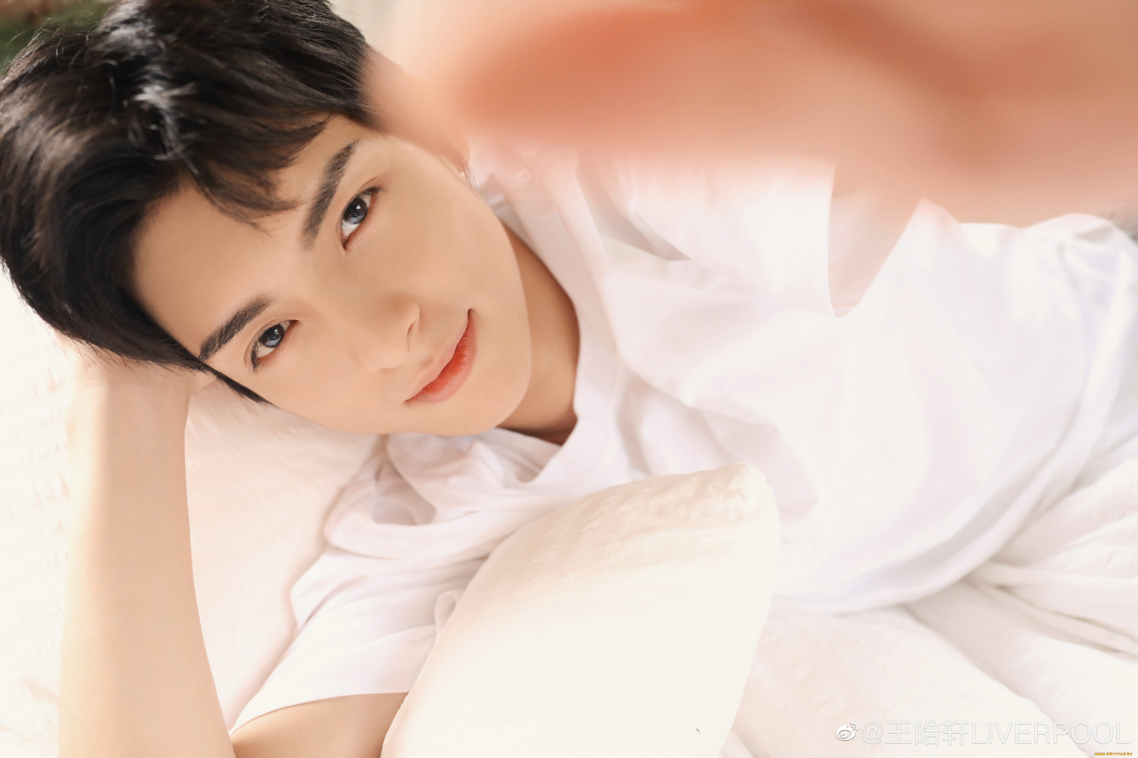 мужчины, wang, hao, xuan, ван, хао, сюань