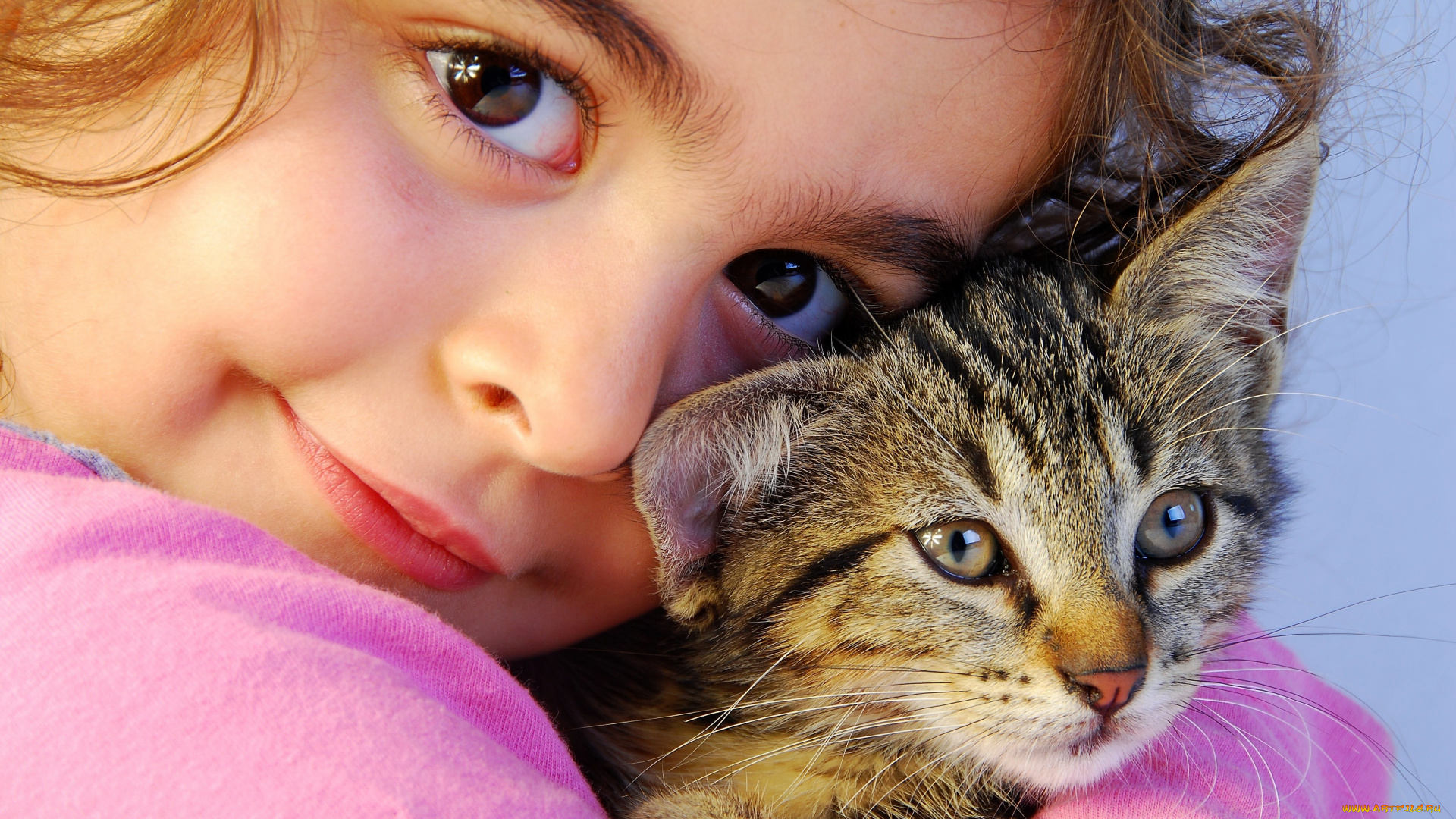 разное, дети, девочка, лицо, котенок