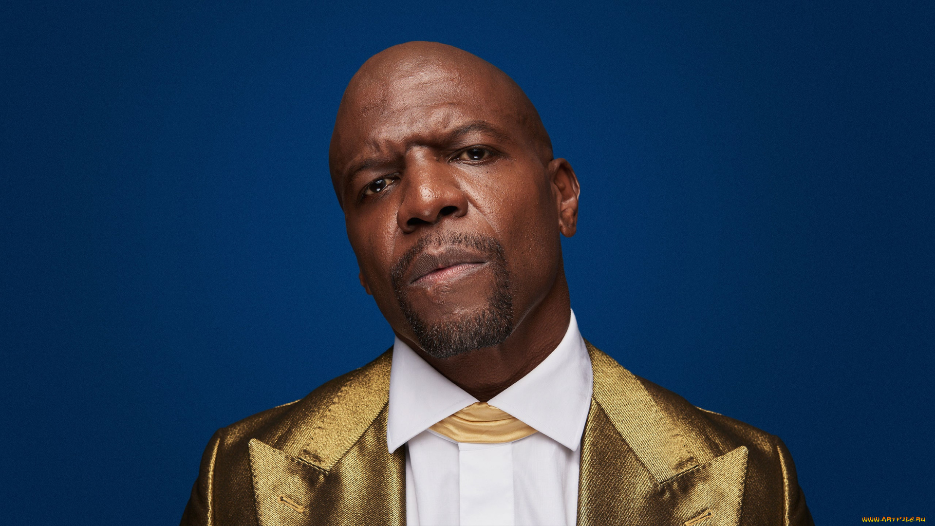 terry, crews, мужчины, актер, лицо, костюм