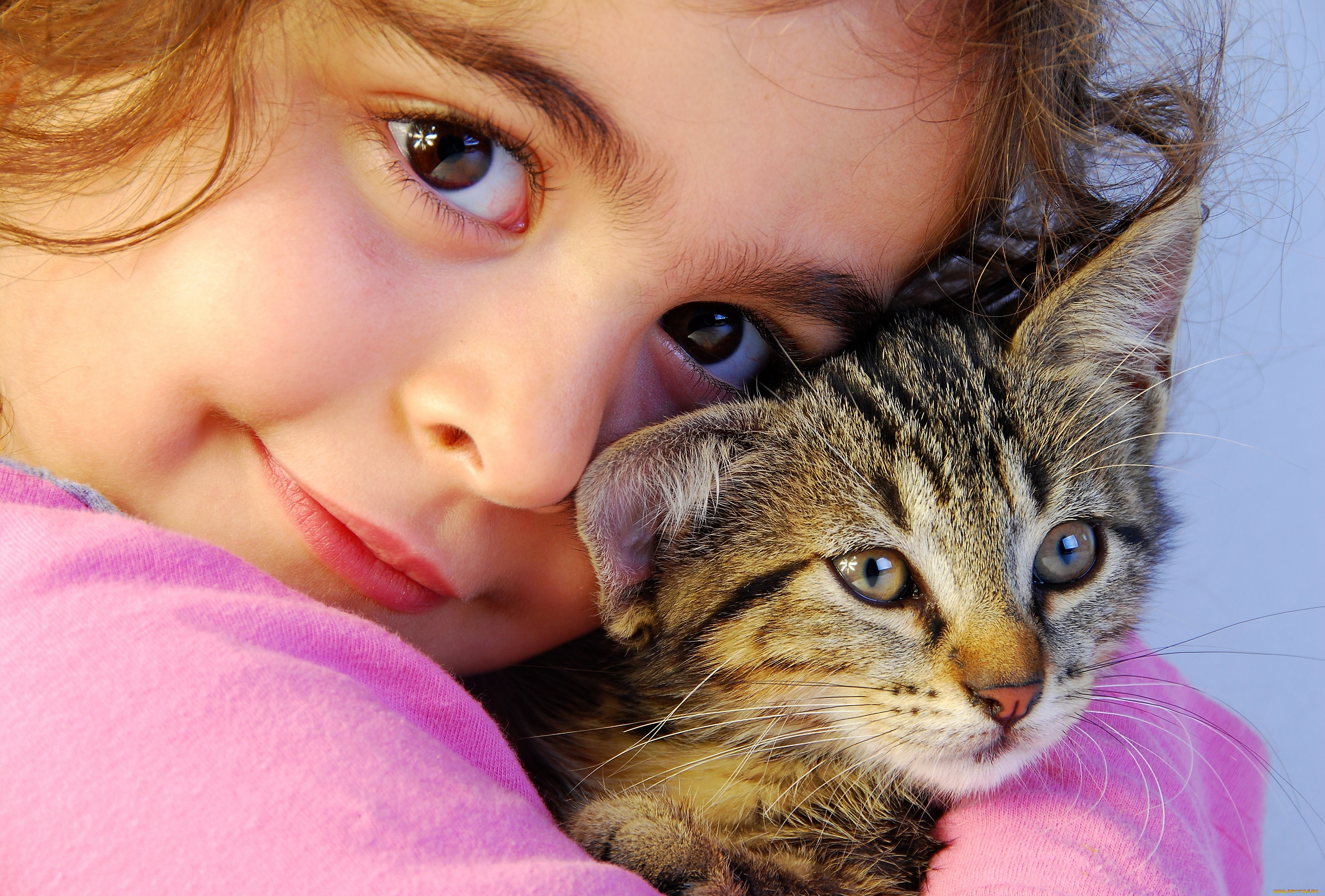 разное, дети, девочка, лицо, котенок