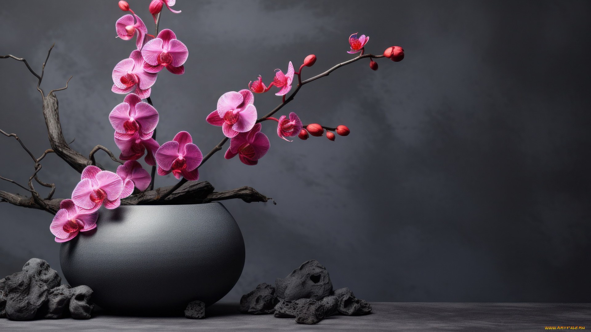 3д, графика, цветы, , flowers, розовые, орхидеи, экзотика