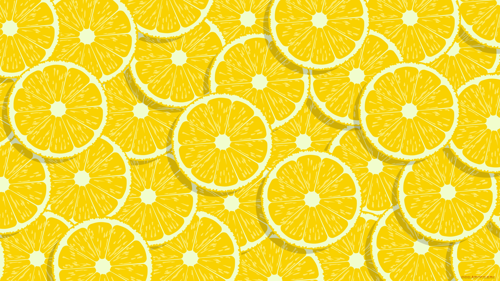 векторная, графика, еда, , food, цитрусы