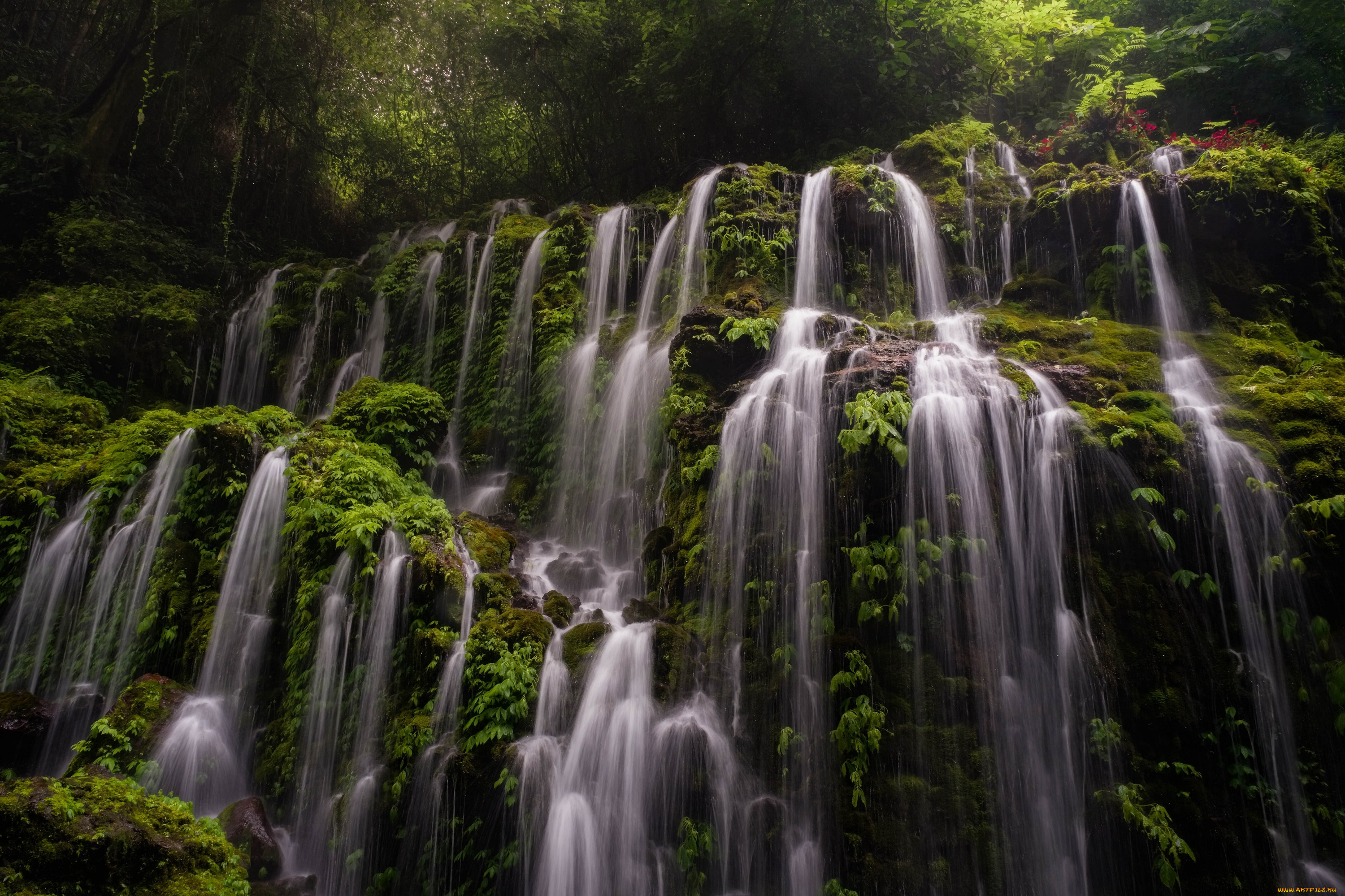 природа, водопады, лес, скалы, листва, водопад, каскад