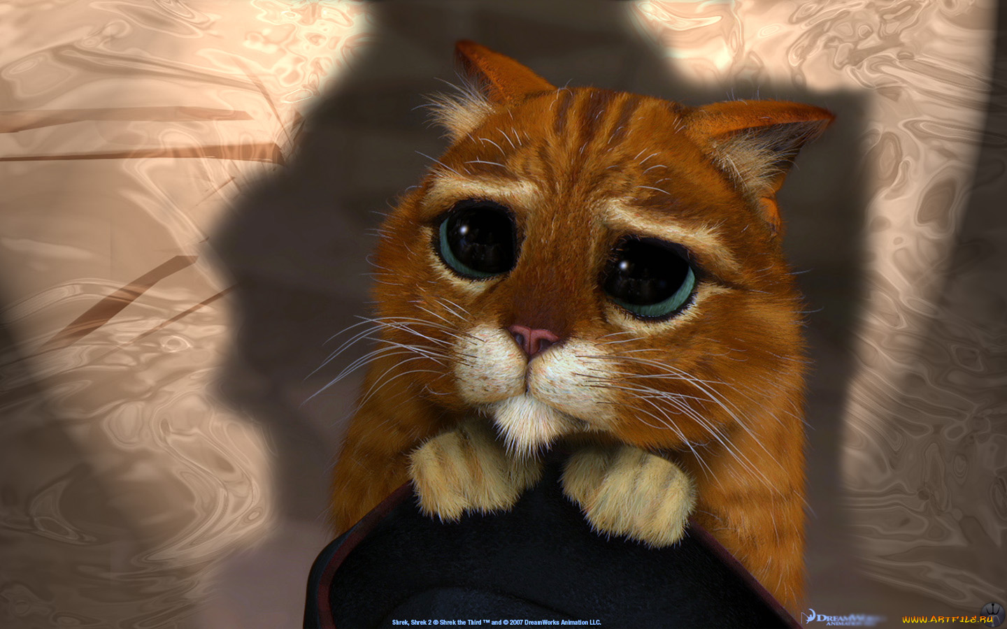 мультфильмы, shrek