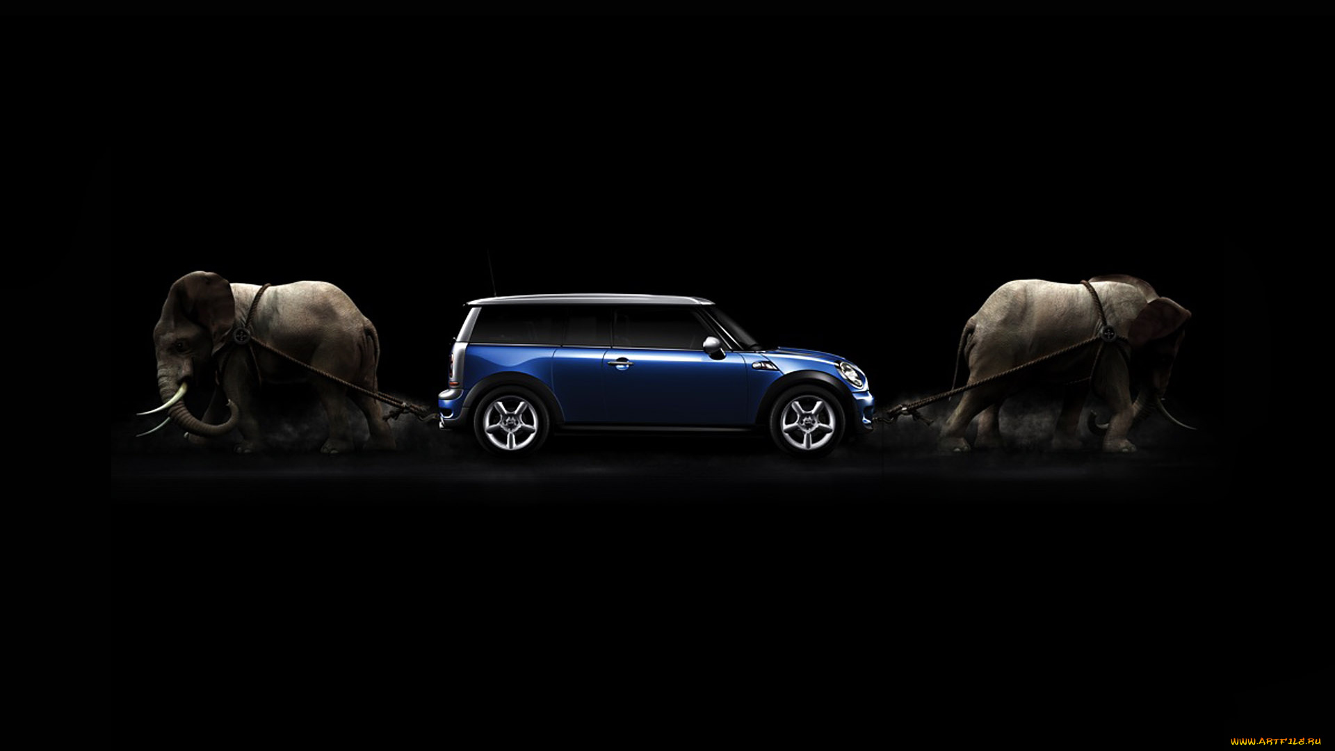 3д, графика, humor, юмор