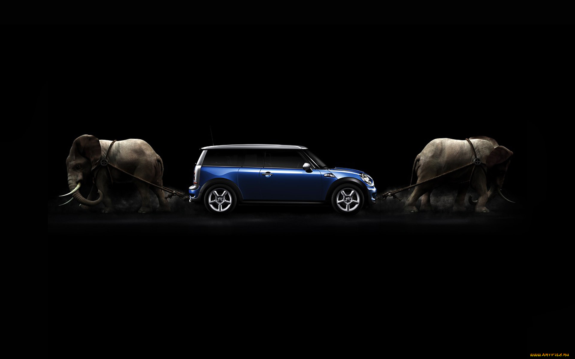 3д, графика, humor, юмор