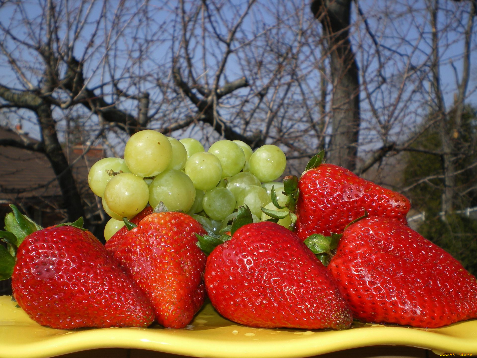 еда, фрукты, ягоды