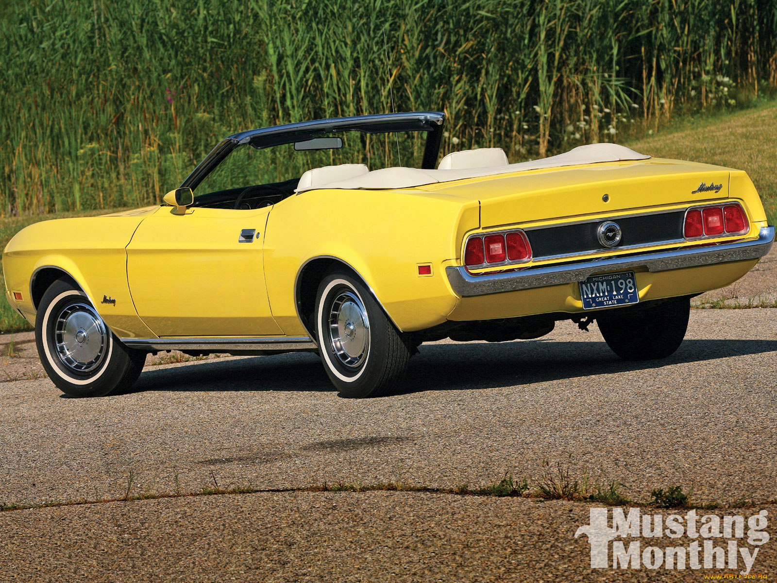 автомобили, mustang