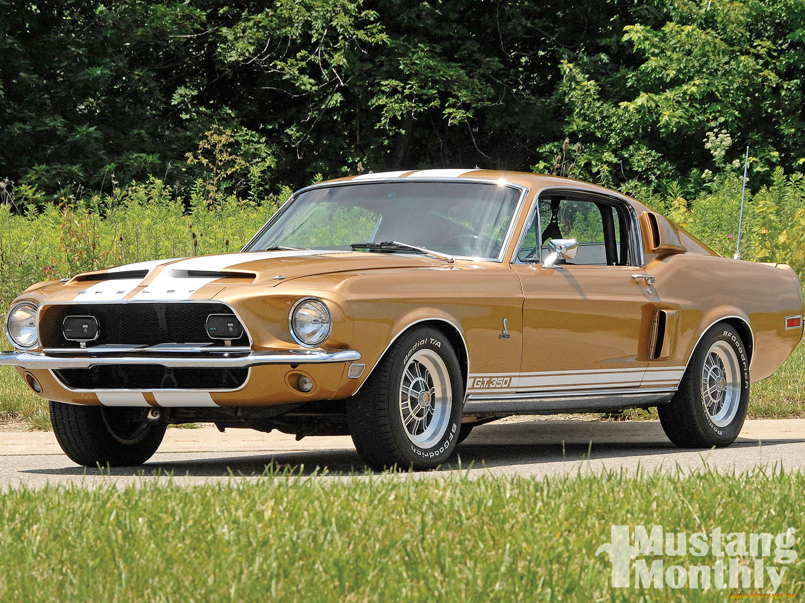 автомобили, mustang