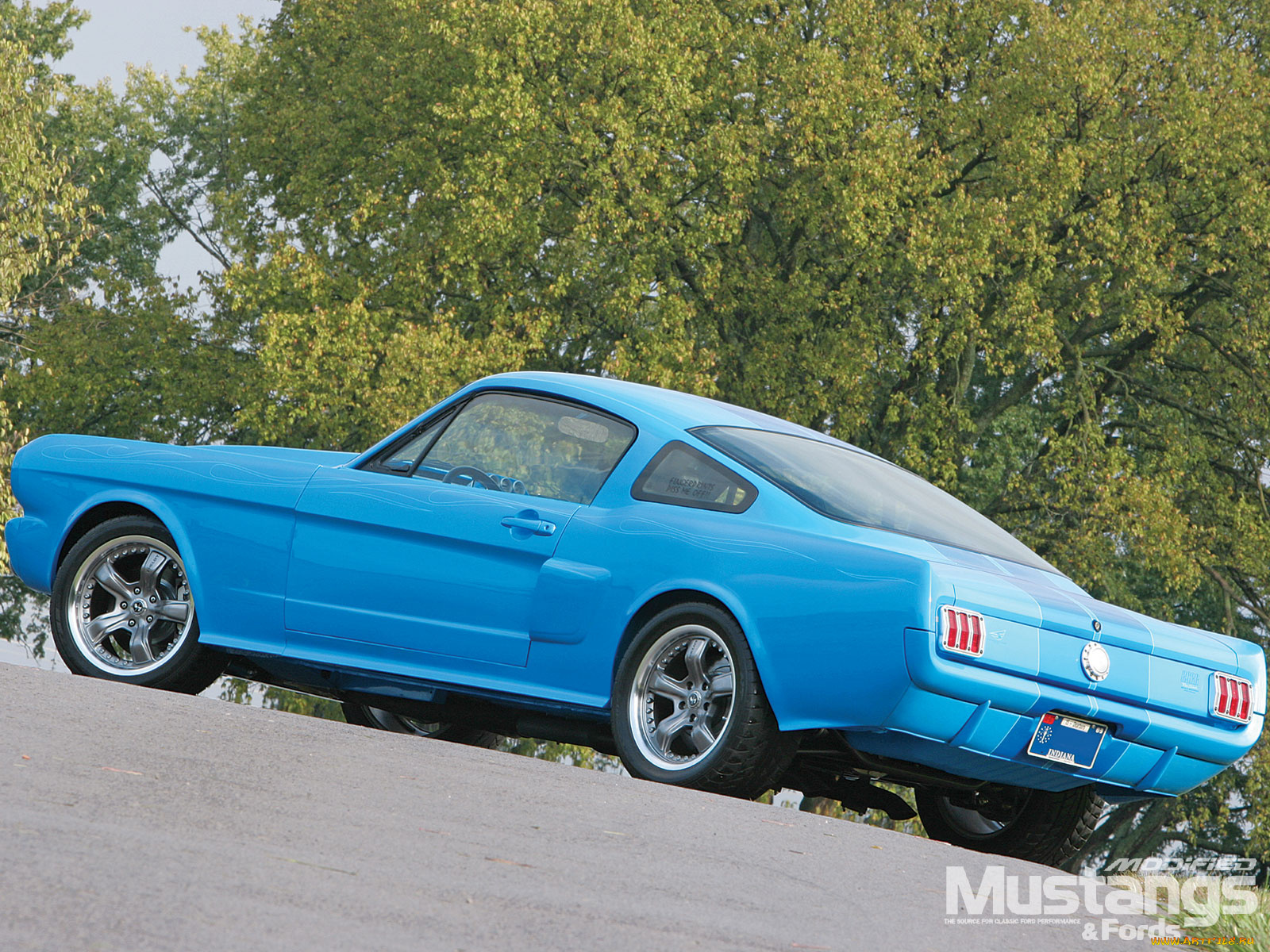 автомобили, mustang