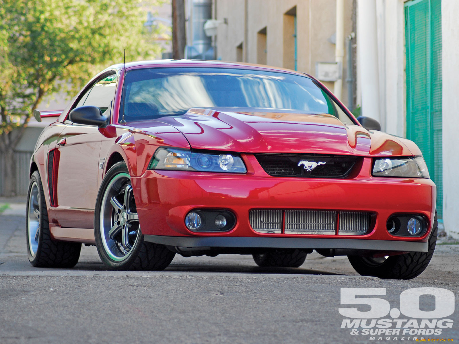 автомобили, mustang