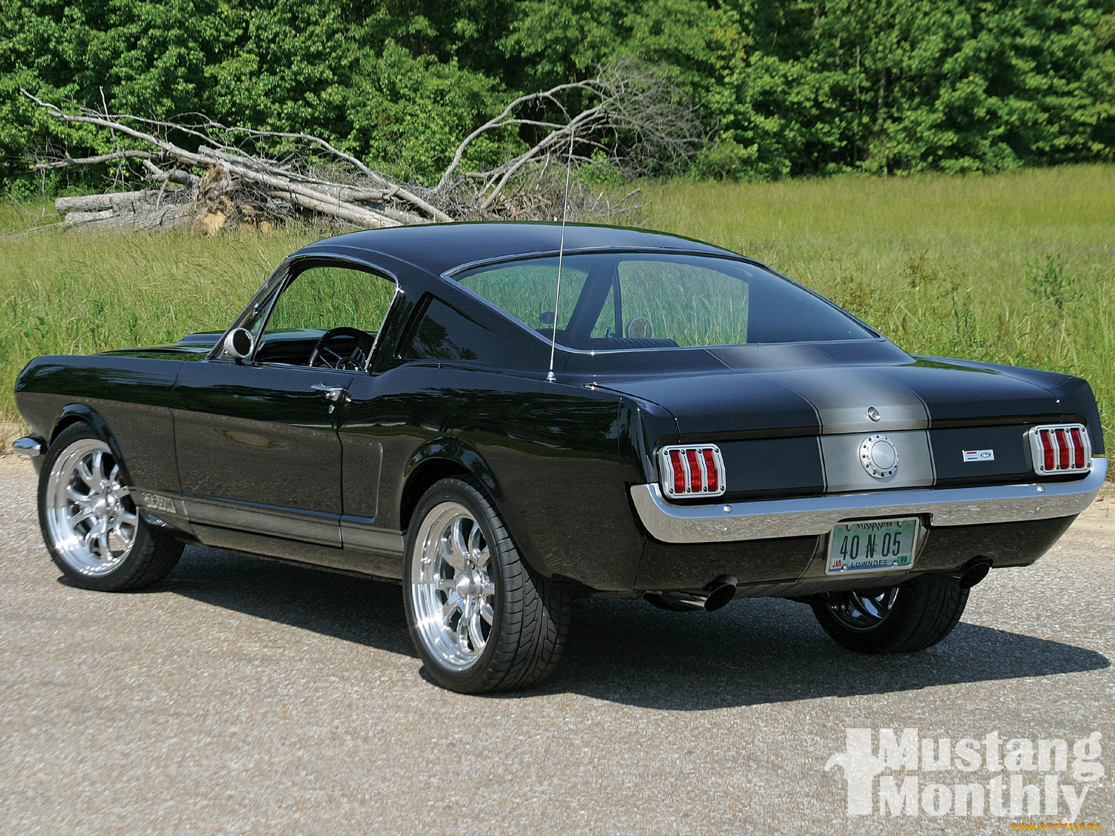 автомобили, mustang