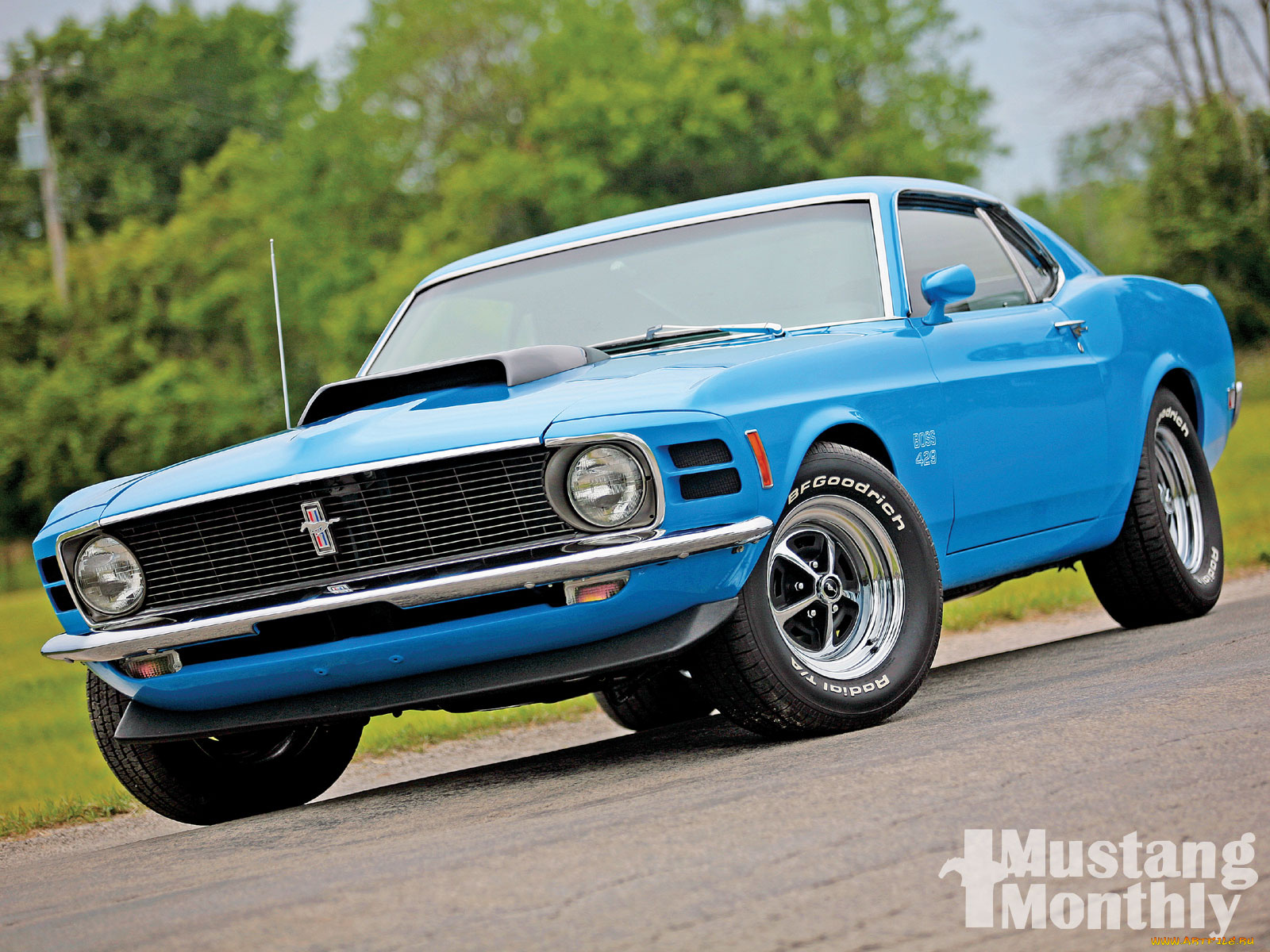 автомобили, mustang
