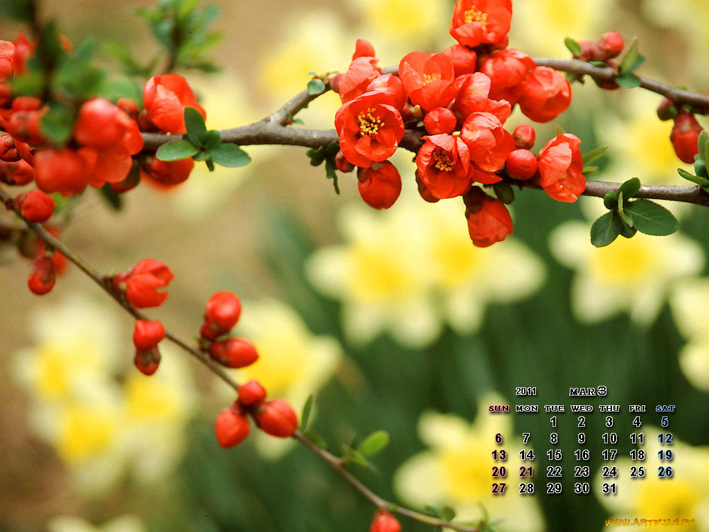 календари, цветы