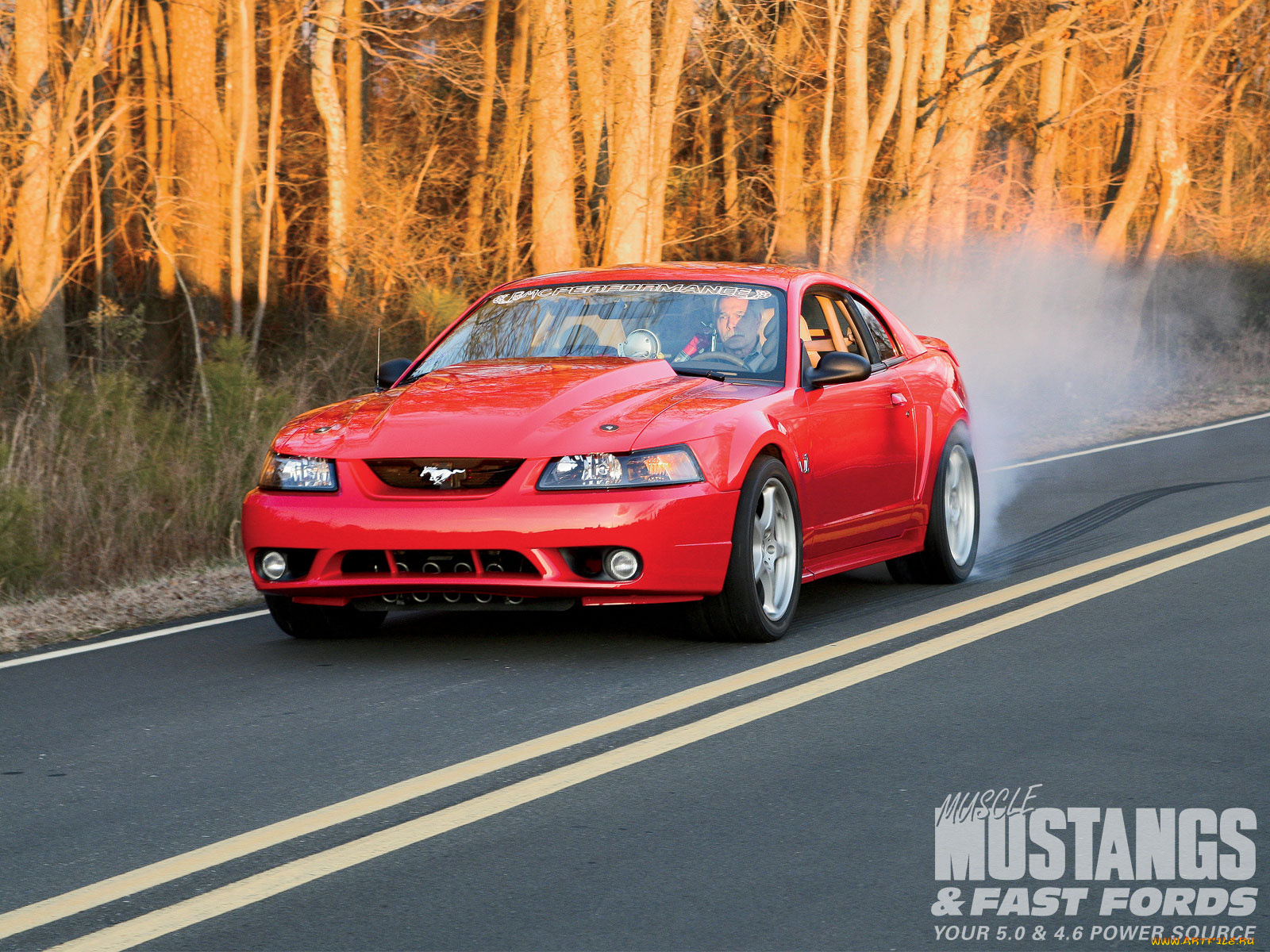 1999, steeda, cobra, автомобили, mustang